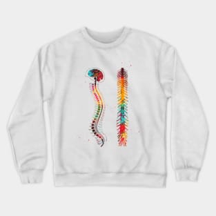 Brain with spinal cord Crewneck Sweatshirt